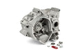 T99CRAM1000 Carter motore TPR Factory 100cc AM6