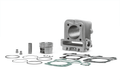 3117771 malossi cilindro d. 49 in alluminio con spinotto d. 13 4-stroke