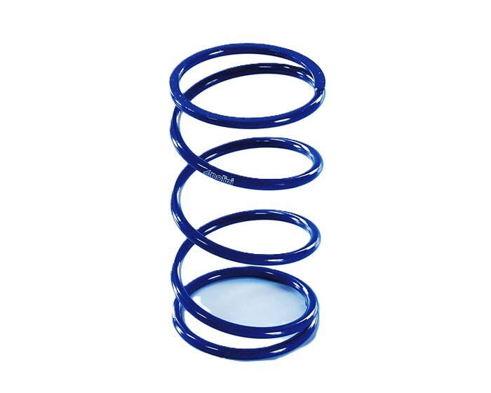 P243.110 Molla di contrasto Polini +25% Kymco AK 550