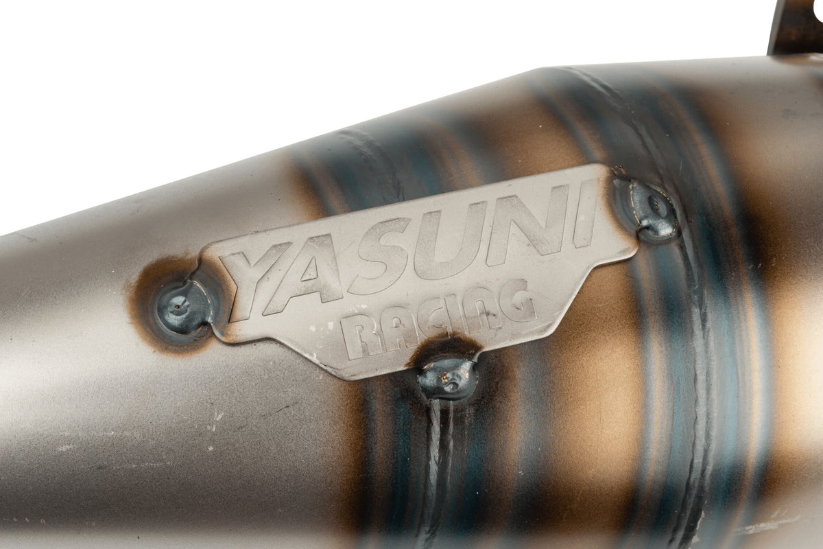 YAS1002C-RPRO Yasuni R-Pro Peugeot vertical carbon exhaust
