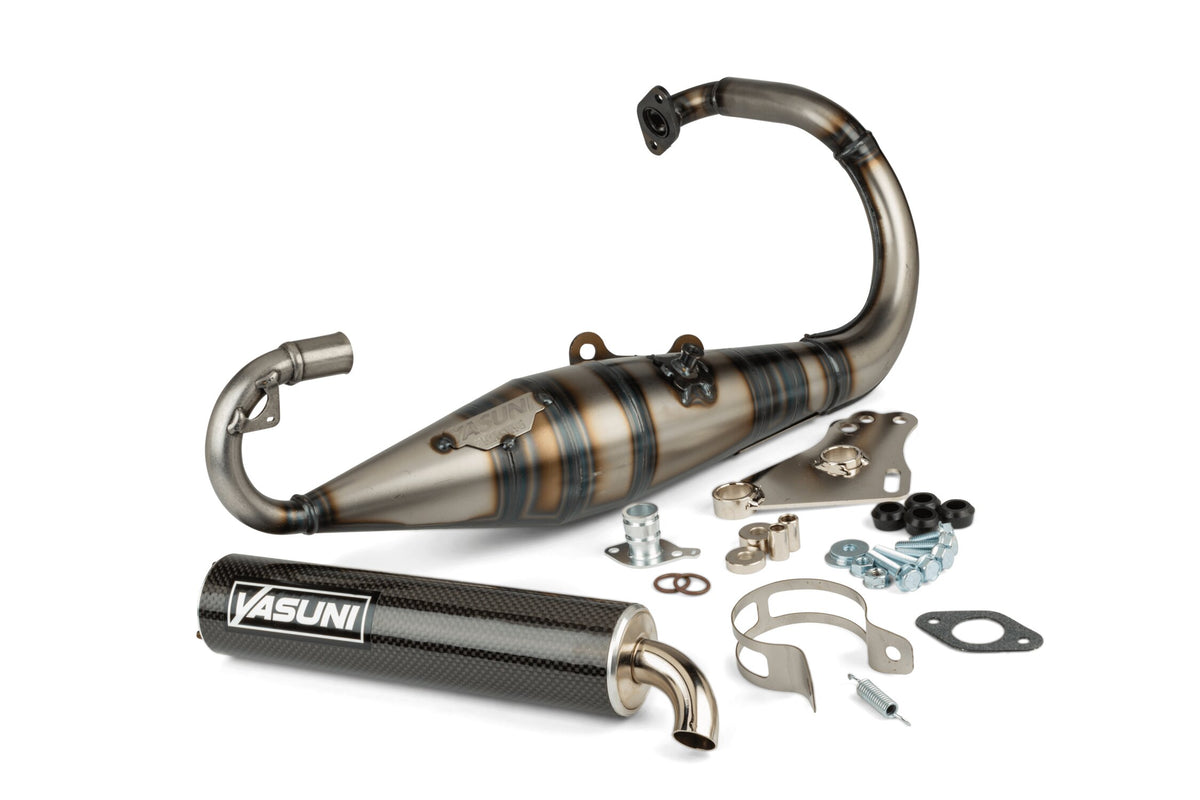 YAS1002C-RPRO Yasuni R-Pro Peugeot vertical carbon exhaust