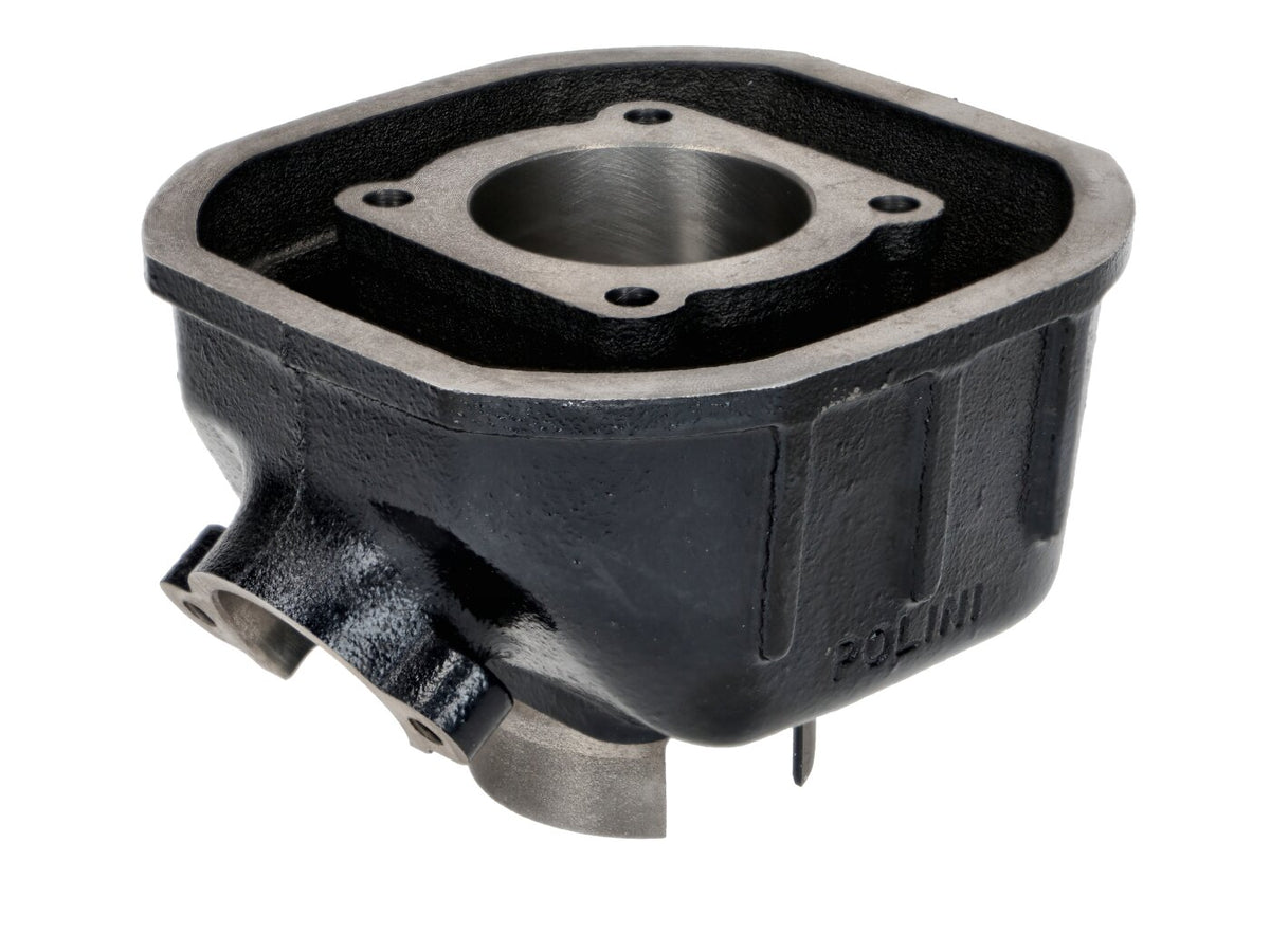 P119.0028/SR Gruppo termico d.46mm Polini Honda Camino LC