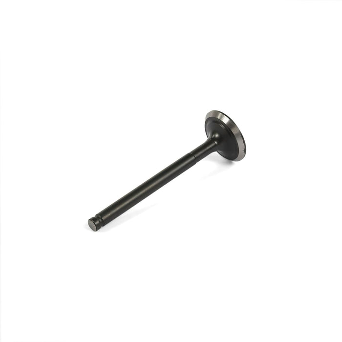 MB7606 Valvola scarico 65mm - d.20mm Pit Bike / Dirt Bike Lifan 125cc