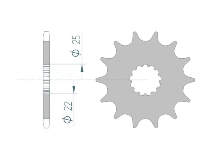 1076567001 Pignone Afam Z12 YZ / YZF, COD: '1076567001