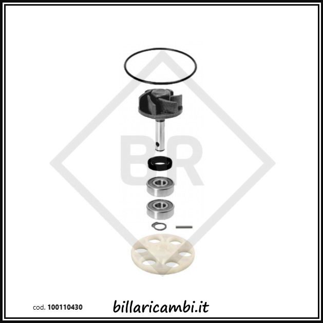 100110430 KIT REVISIONE POMPA ACQUA MINARELLI ORIZZONTALE