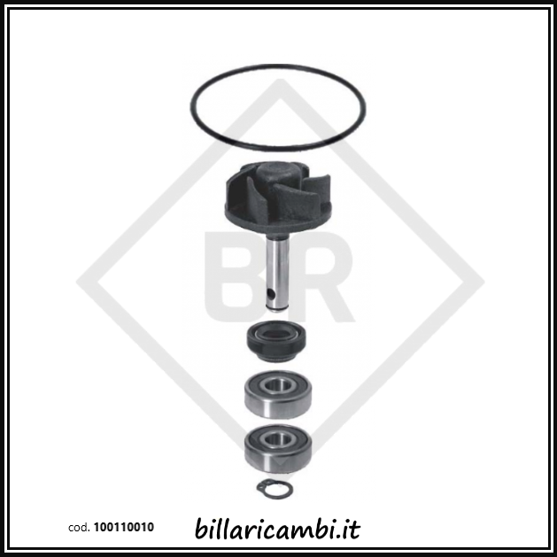 100110010 KIT REVISIONE POMPA ACQUA MINARELLI ORIZZONTALE