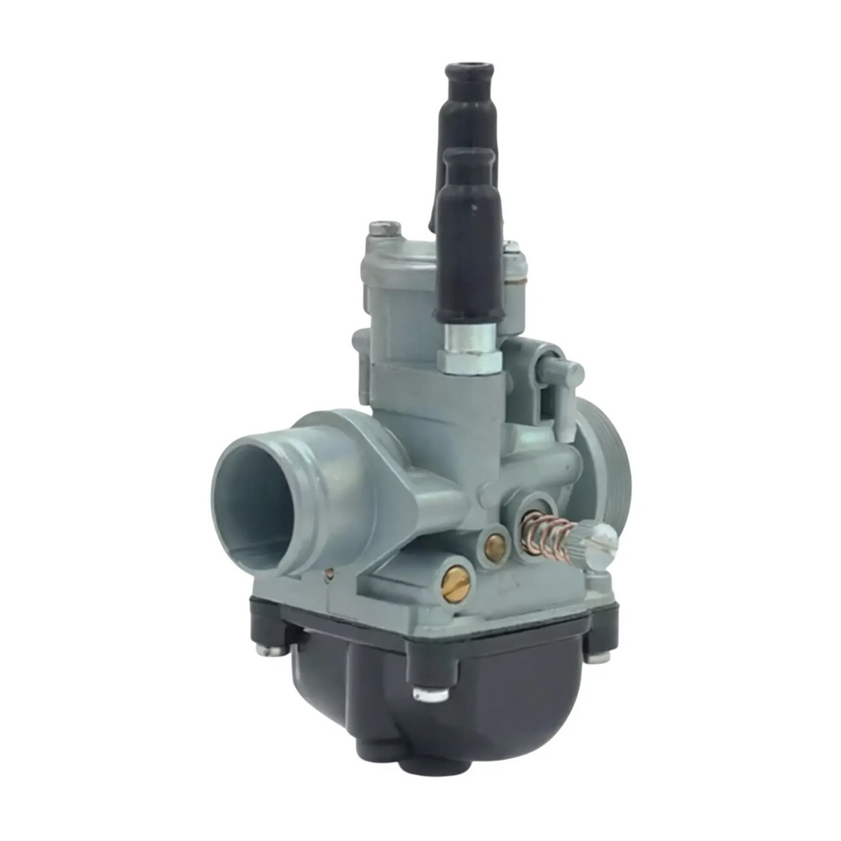AP30CB19.PHBG Carburatore tipo PHBG da 19 mm con avviamento a cavo AllPro