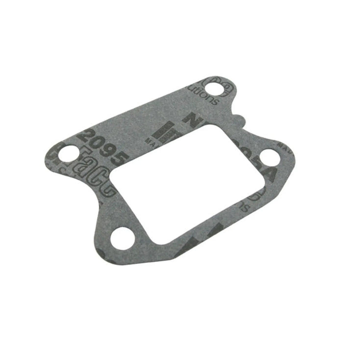 AP35GRV175 Guarnizione lamellare verticale Peugeot AllPro