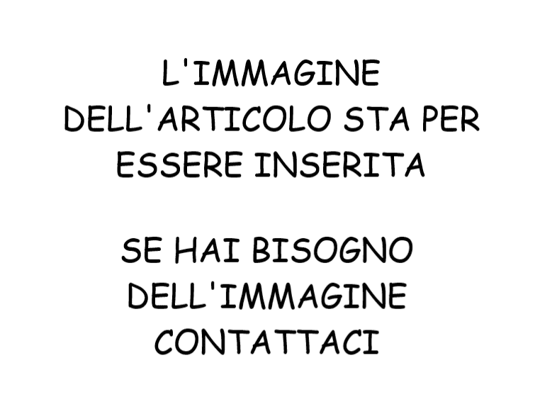 S6-080100ET01 O-ring attrezzo paraolio Stage6