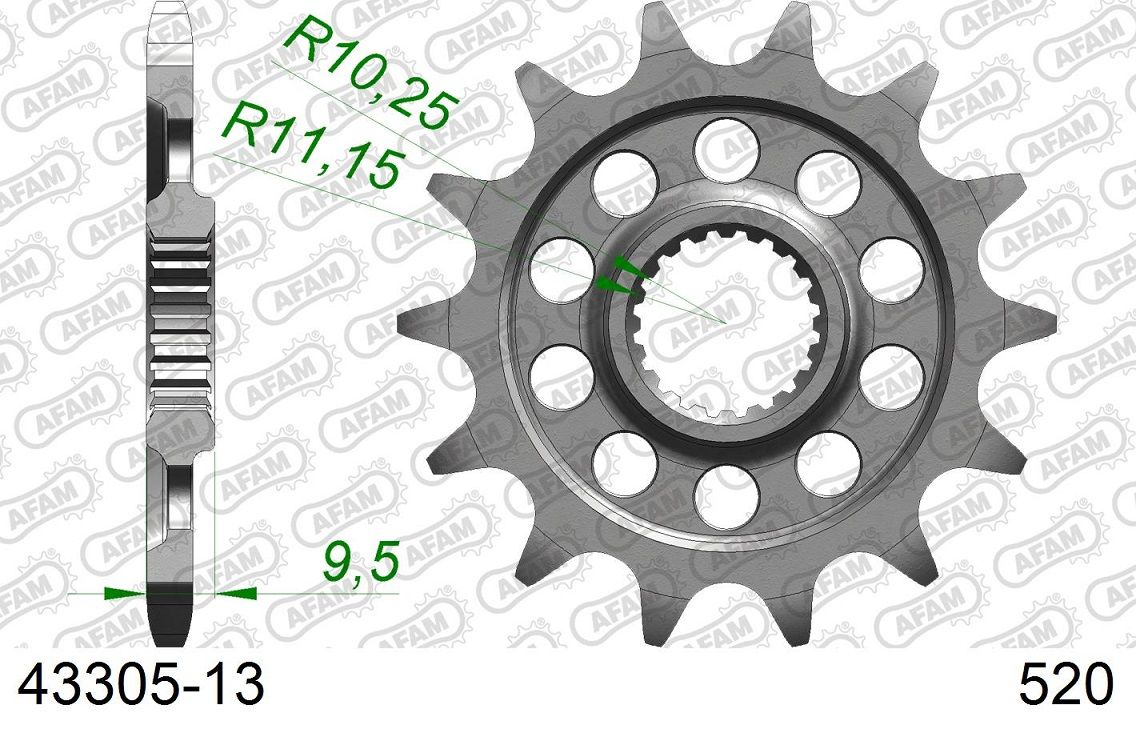 A43305.13 Pignone AFAM - 13 denti - SHERCO 250/300