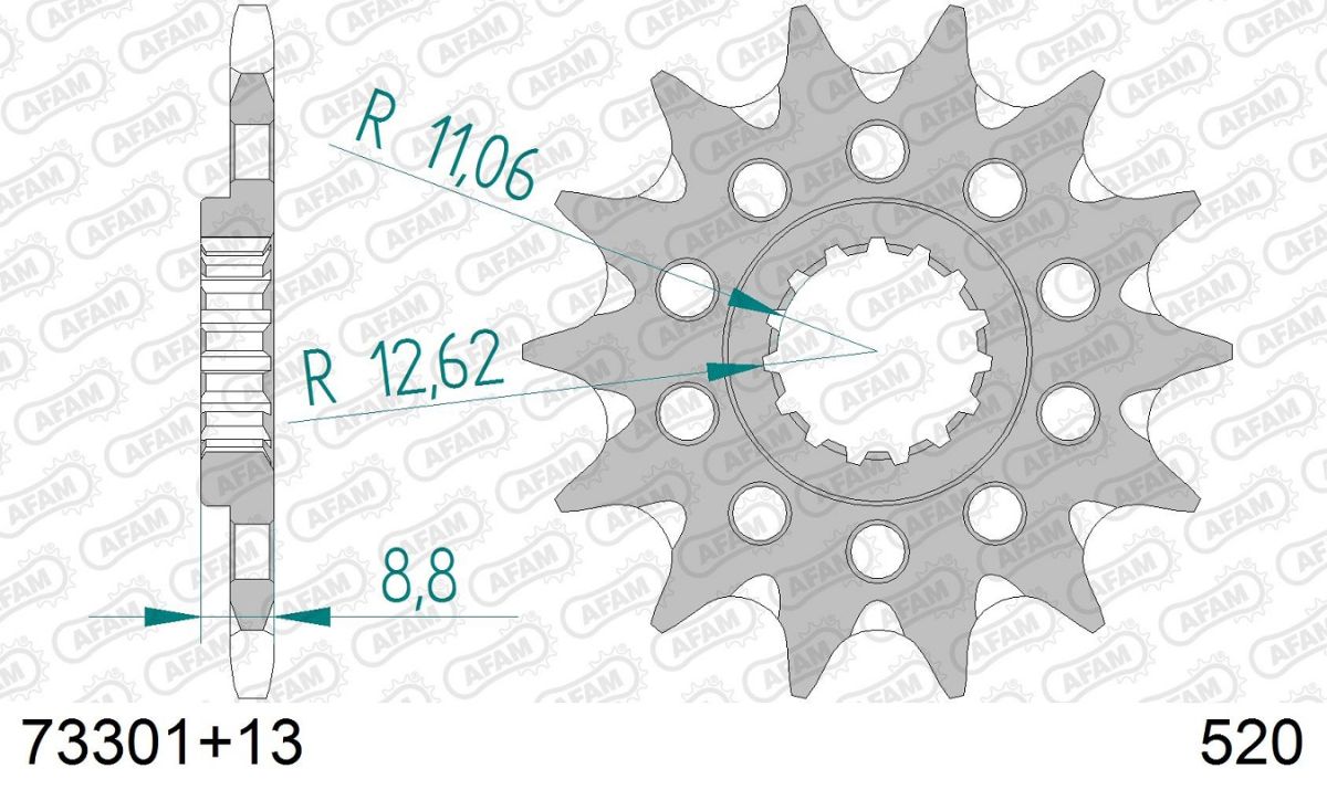A73301.13SC Pignone AFAM autopulente - 13 denti - BETA GASGAS HUSABERG HUSQVARNA KTM MAICO