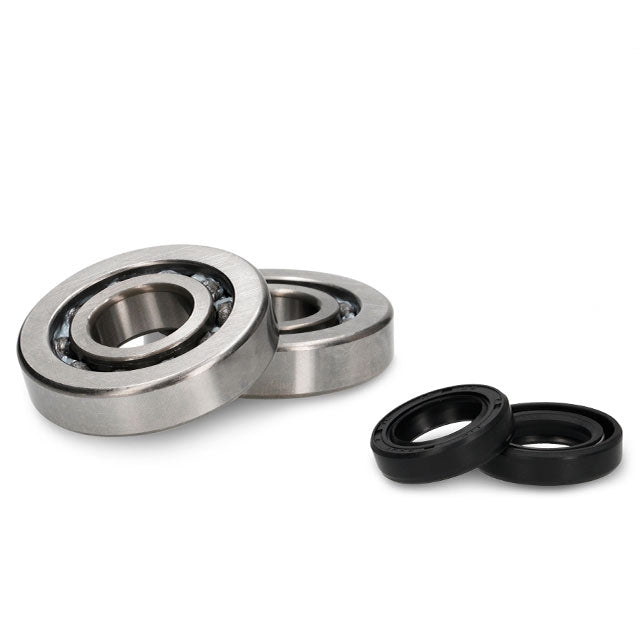 AP20BS140 Cuscinetti e guarnizioni albero motore Piaggio / Gilera 50cc AllPro