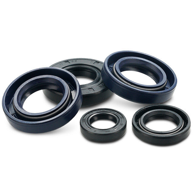 AP20SE193.ENG Tenute motore Derbi euro 3 / euro 4 AllPro