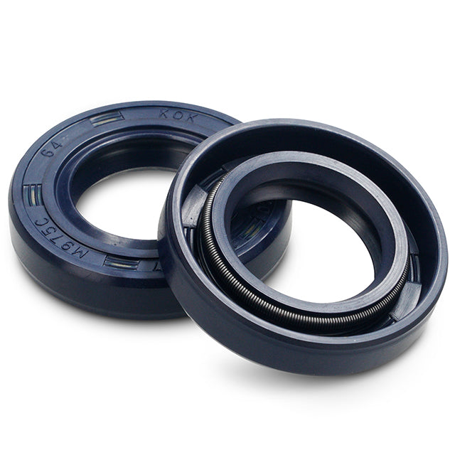 AP20SE193 Guarnizioni albero motore Derbi euro 2 / euro 3 / euro 4 AllPro