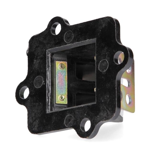 AP30RV10.166 Valvola lamellare Minarelli orizzontale AllPro