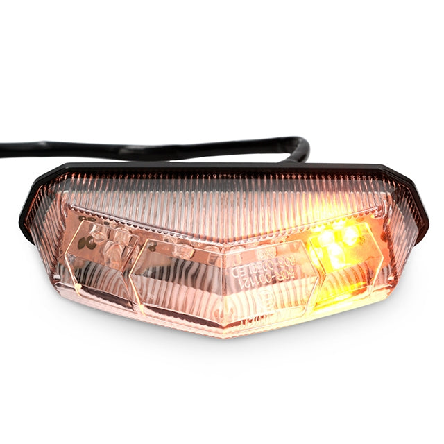 AP50RL100.UNI.CE Fanale posteriore LED con indicatori blackline AllPro - trasparente