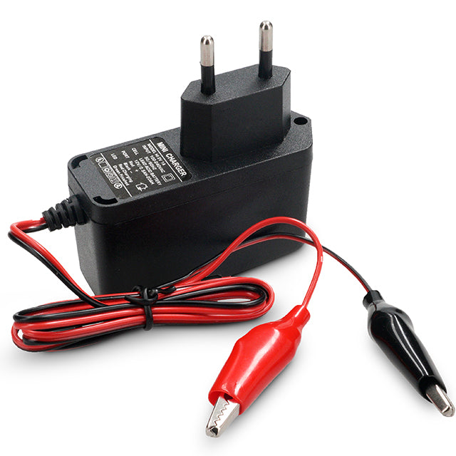 AP90TL20 Caricabatterie AllPro da 12 V