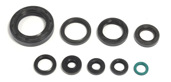 GU84214T Serie paraoli motore CR 250/500