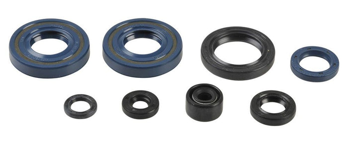 GU84379T Serie paraoli motore KX 65