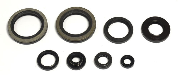 GU84546T Serie paraoli motore RM 250 93-95
