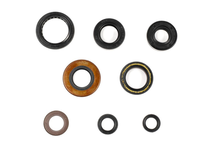 GU84619T Serie paraoli motore XR 400 R 96-03
