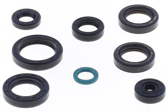 GU84694T Serie paraoli motore TM EN/MX 125 15-24