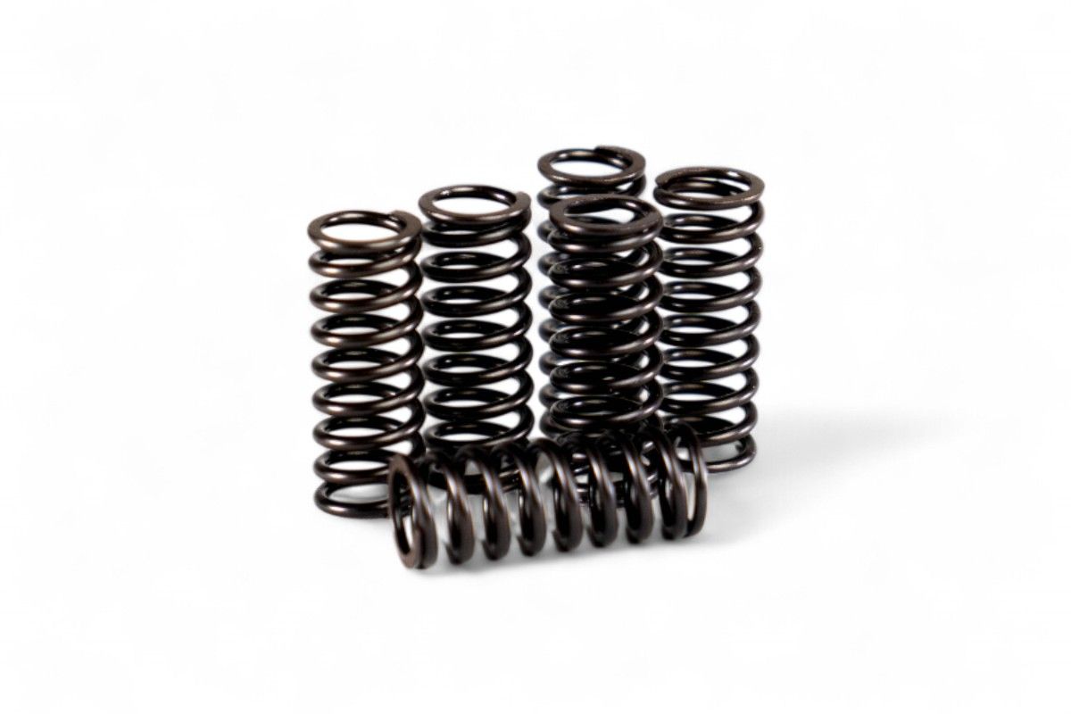 HDS80.6 Kit molle frizione rinforzate YZ 250 82-99