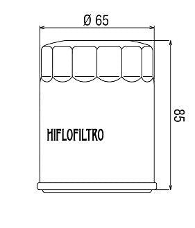 HF196 Filtro olio HI-FLO - POLARIS