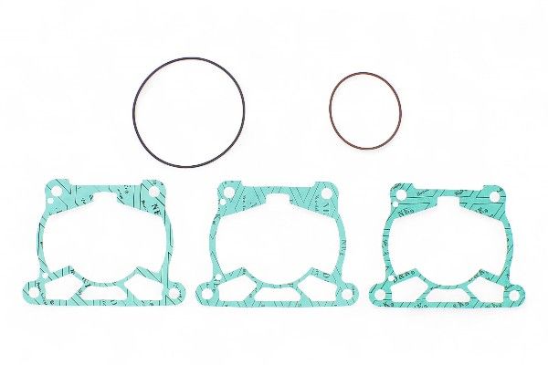 PX36.6223 Kit guarnizioni testa più base cilindro PROX - 2T