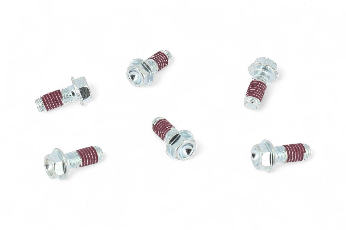 VT3026 Viti HAAN WHEELS per disco freno (6 pezzi)